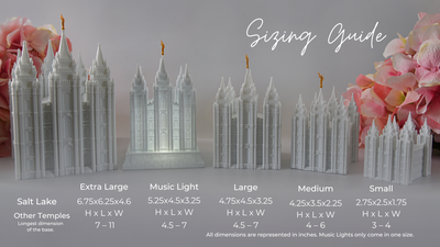 Columbia South Carolina Temple Music Light