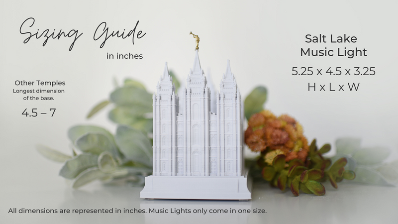 Boise Idaho Temple Music Light